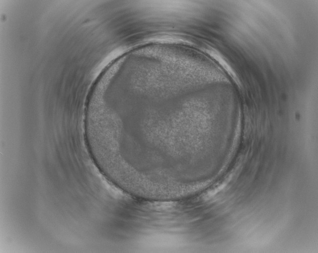 X0000088840853200707051446