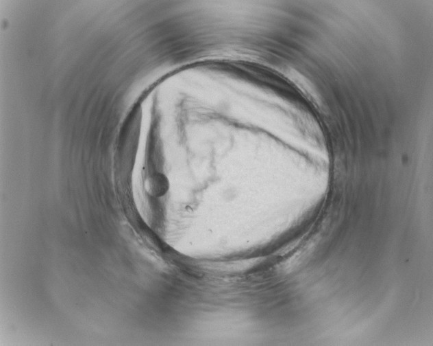 X0000088840854200707051446