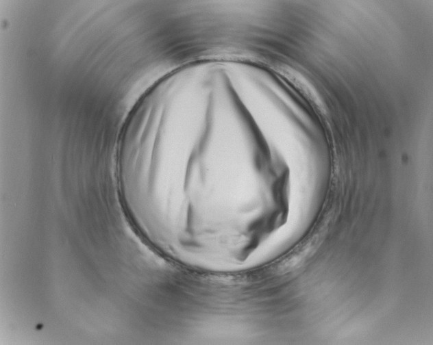 X0000088840855200707051446