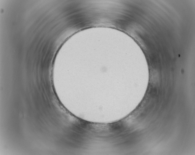 X0000088840856200707051446