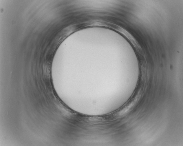 X0000088840857200707051446