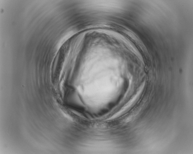 X0000088840858200707051446