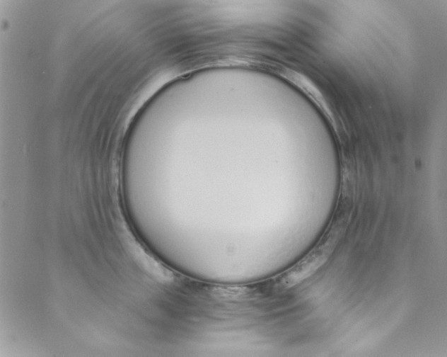 X0000088840859200707051446