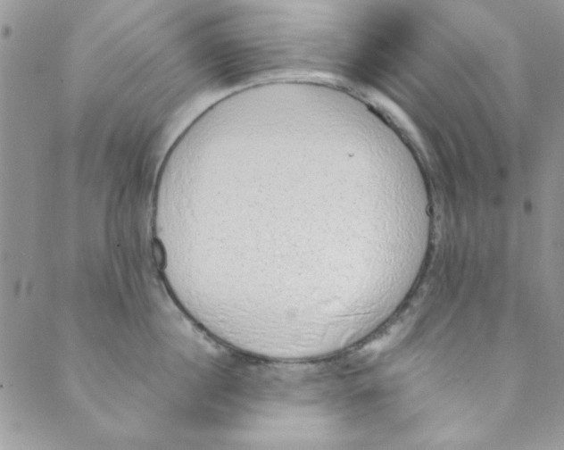 X0000088840860200707051446