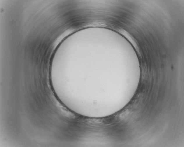 X0000088840861200707051446