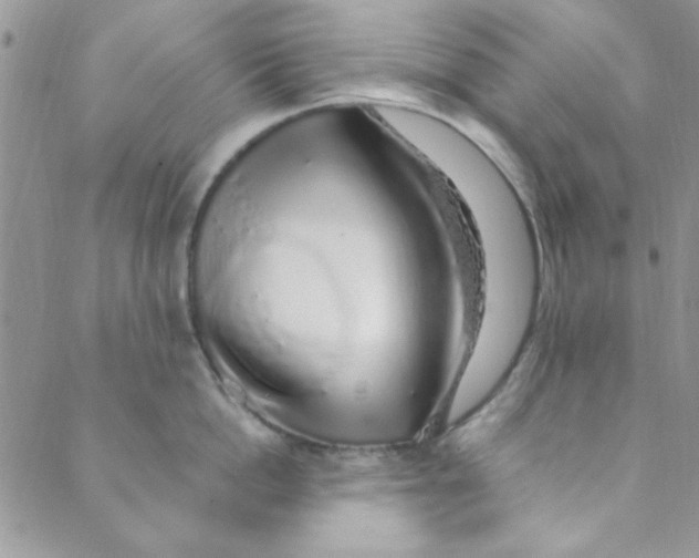 X0000088840862200707051446