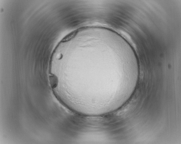 X0000088840863200707051446