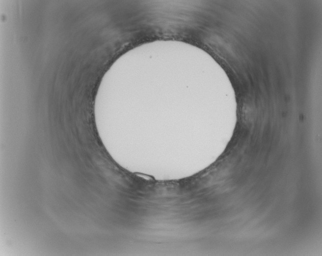 X0000088840865200707051445