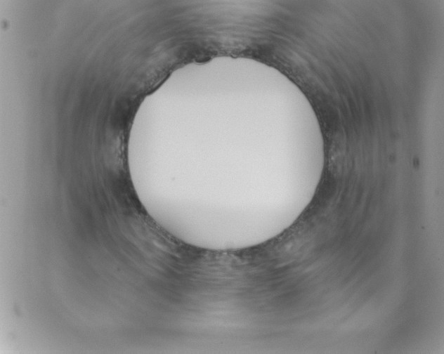 X0000088840866200707051445