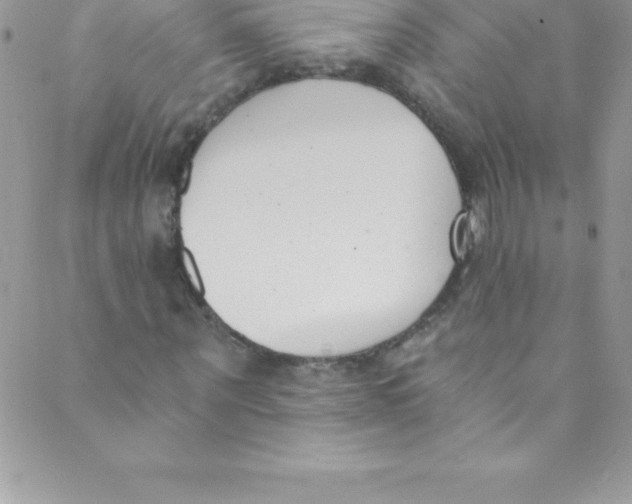 X0000088840867200707051445