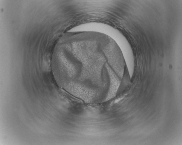 X0000088840868200707051445