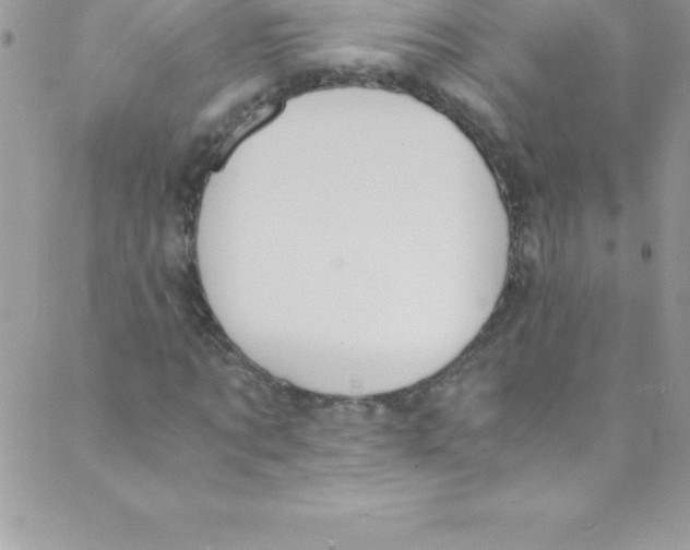 X0000088840869200707051445