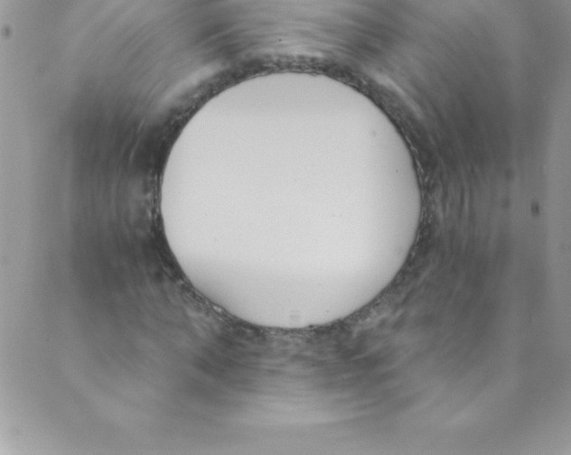 X0000088840870200707051445