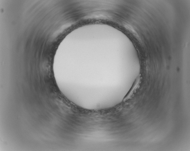 X0000088840872200707051445