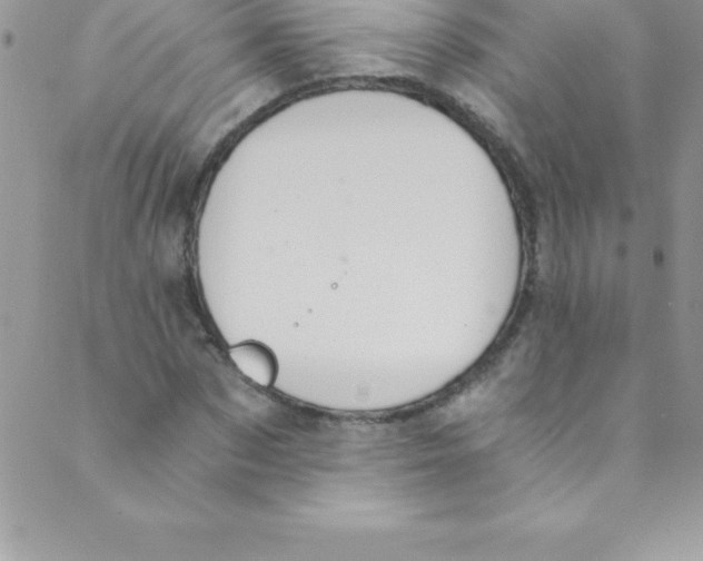 X0000088840873200707051445