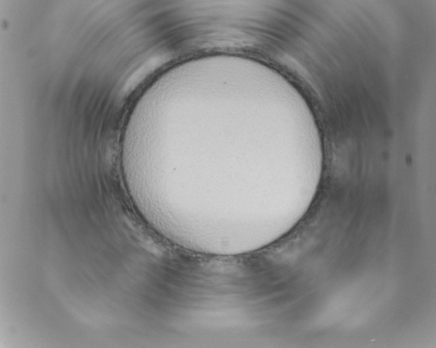 X0000088840874200707051445