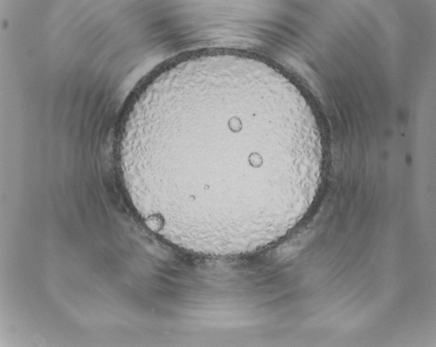 X0000088840875200707051445