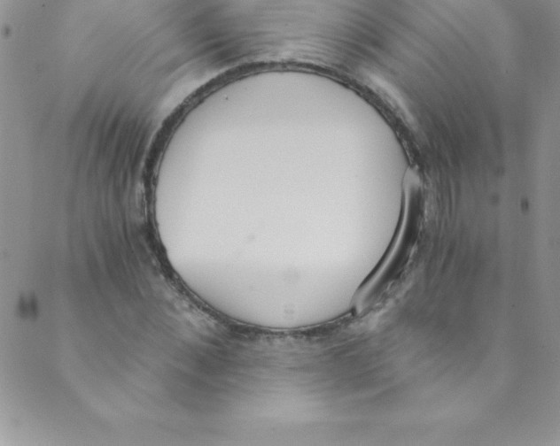 X0000088840876200707051445