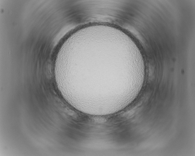 X0000088840878200707051445