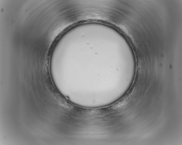 X0000088840879200707051445