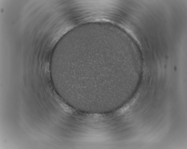 X0000088840881200707051445