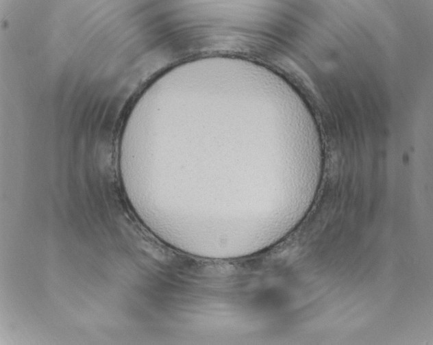 X0000088840882200707051445