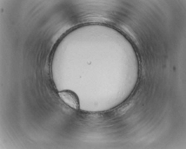 X0000088840883200707051445