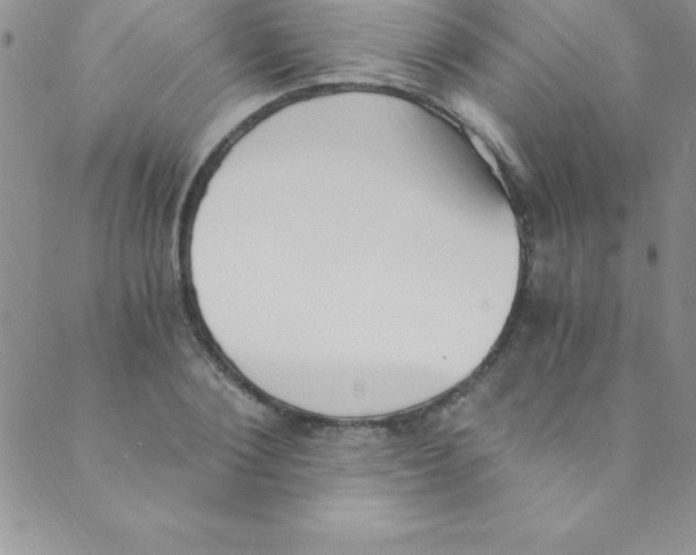 X0000088840884200707051445