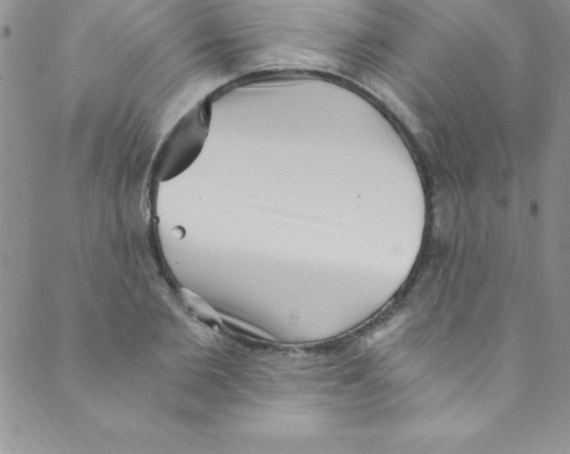 X0000088840885200707051445