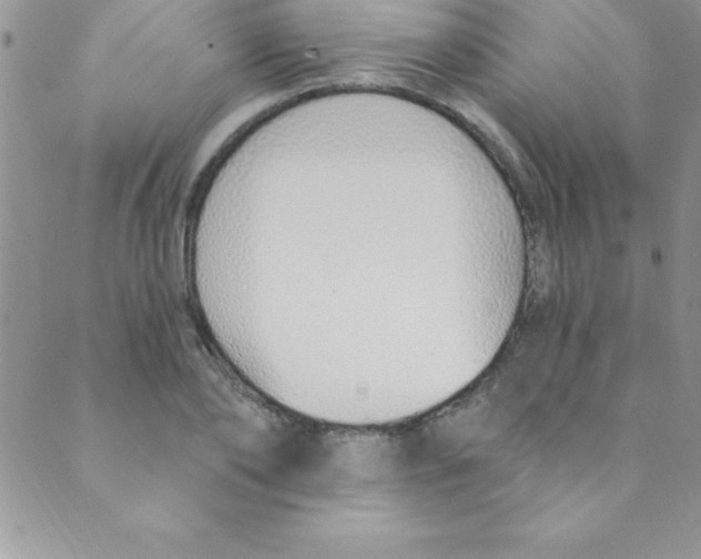 X0000088840886200707051445