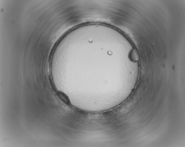 X0000088840887200707051445