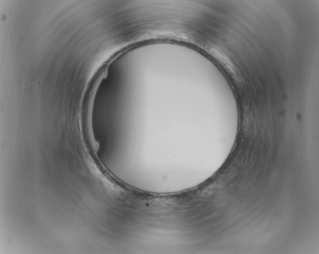 X0000088840888200707051445