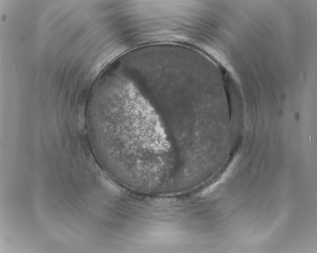 X0000088840889200707051445