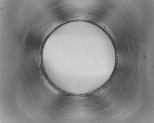 X0000088840890200707051445