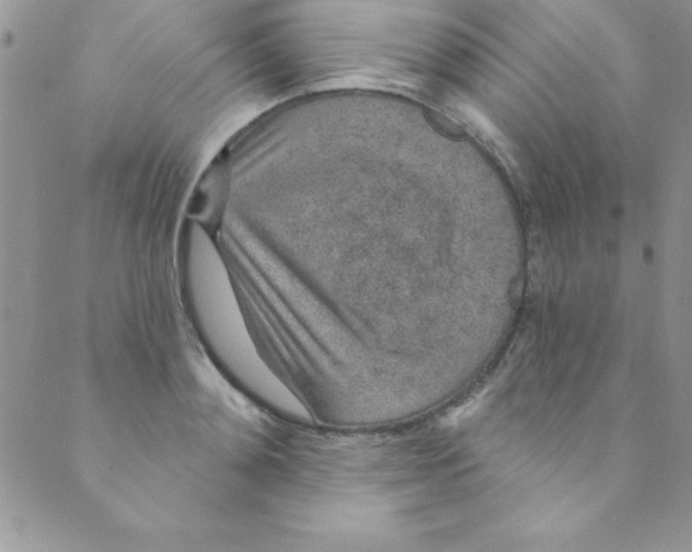 X0000088840892200707051445