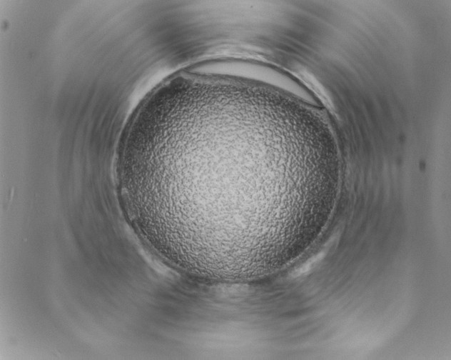 X0000088840893200707051445