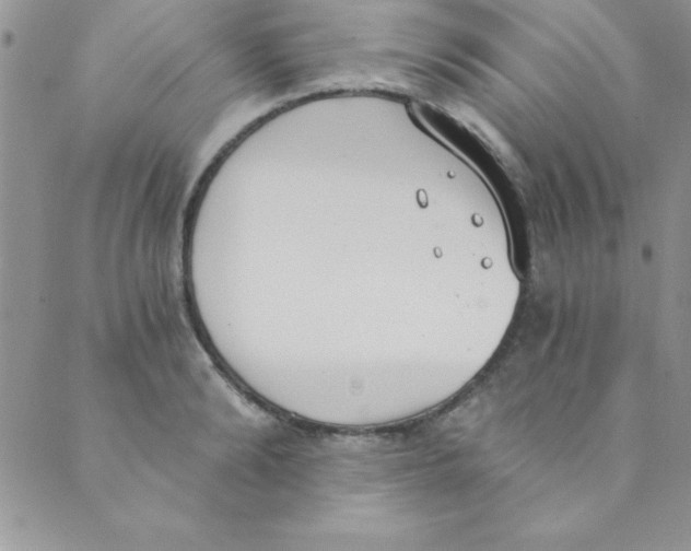 X0000088840894200707051445