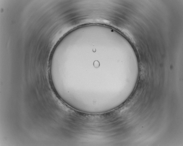 X0000088840895200707051445