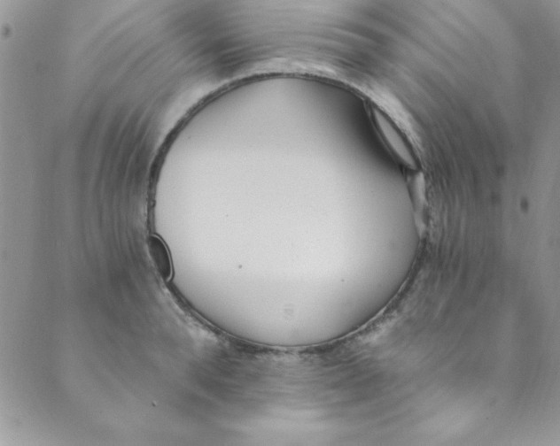 X0000088840896200707051445