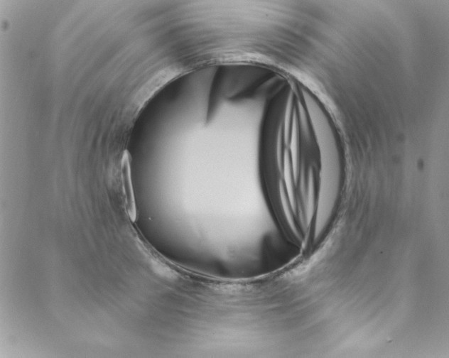 X0000088840897200707051444