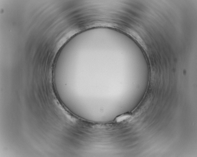 X0000088840898200707051444