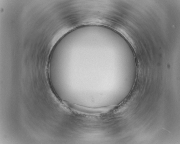 X0000088840901200707051444