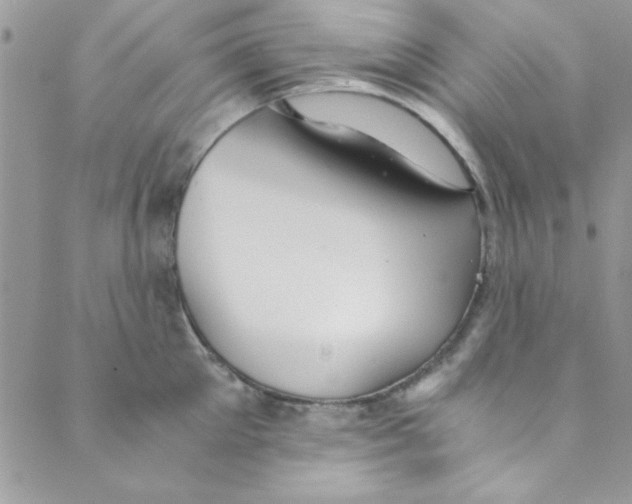 X0000088840905200707051444