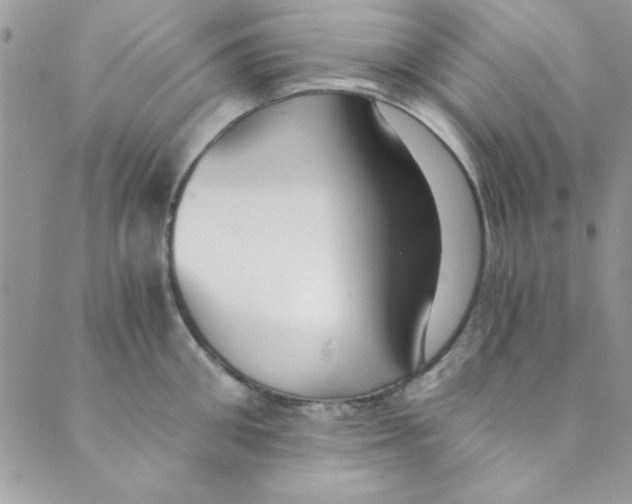 X0000088840906200707051444