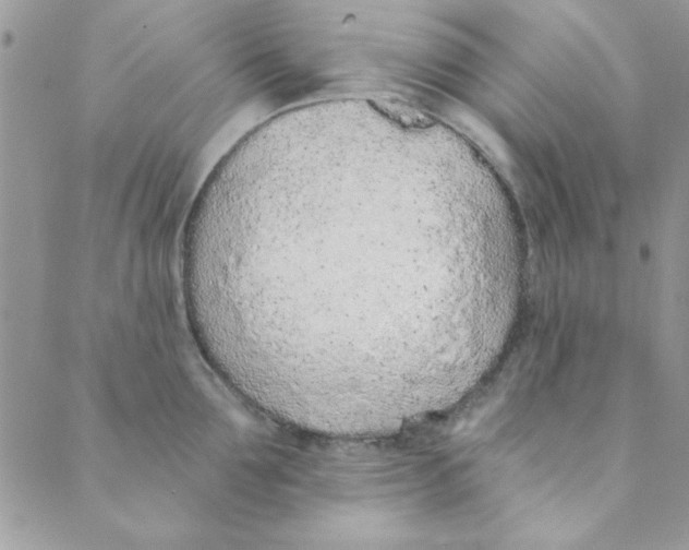 X0000088840907200707051444