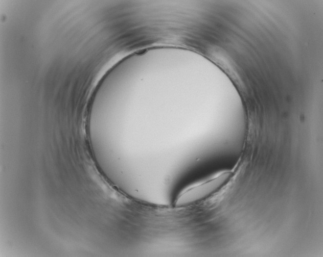 X0000088840908200707051444