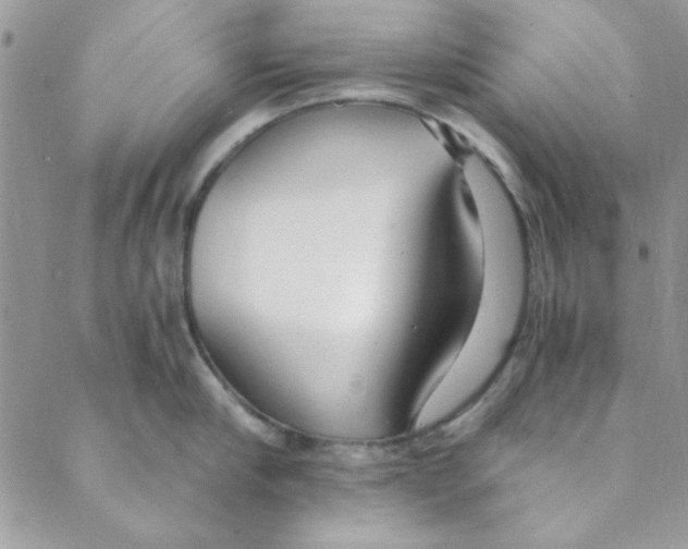 X0000088840910200707051444