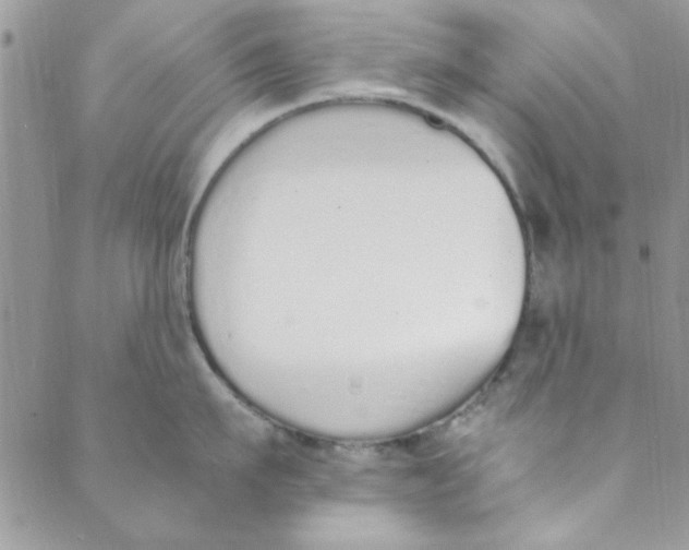 X0000088840911200707051444