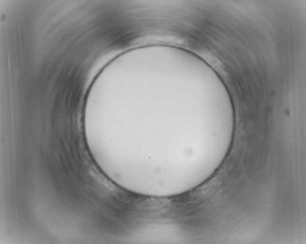 X0000088840912200707051444