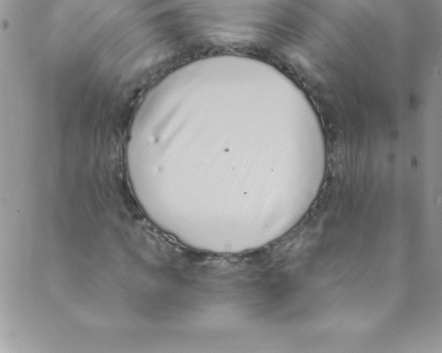 X0000088840917200707051444